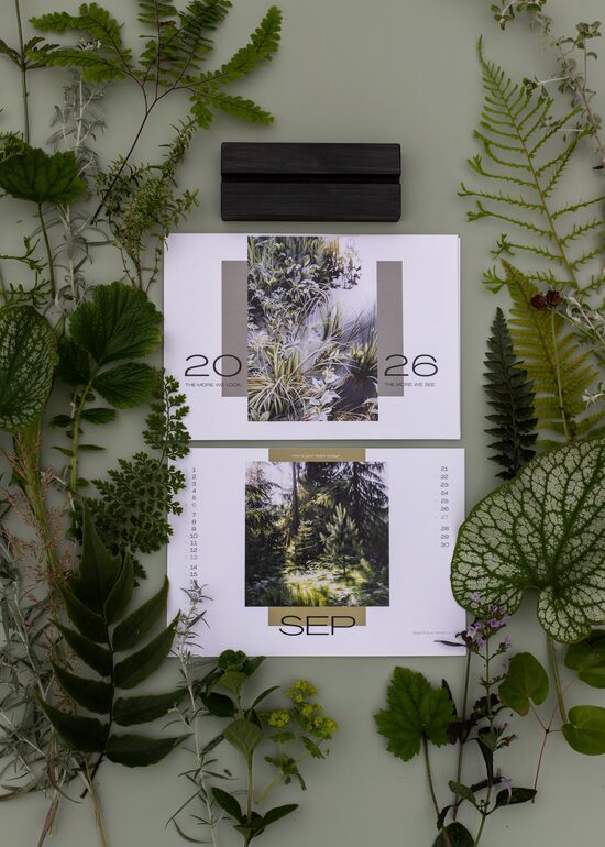 Galda kalendārs BEZ KLUCĪŠA